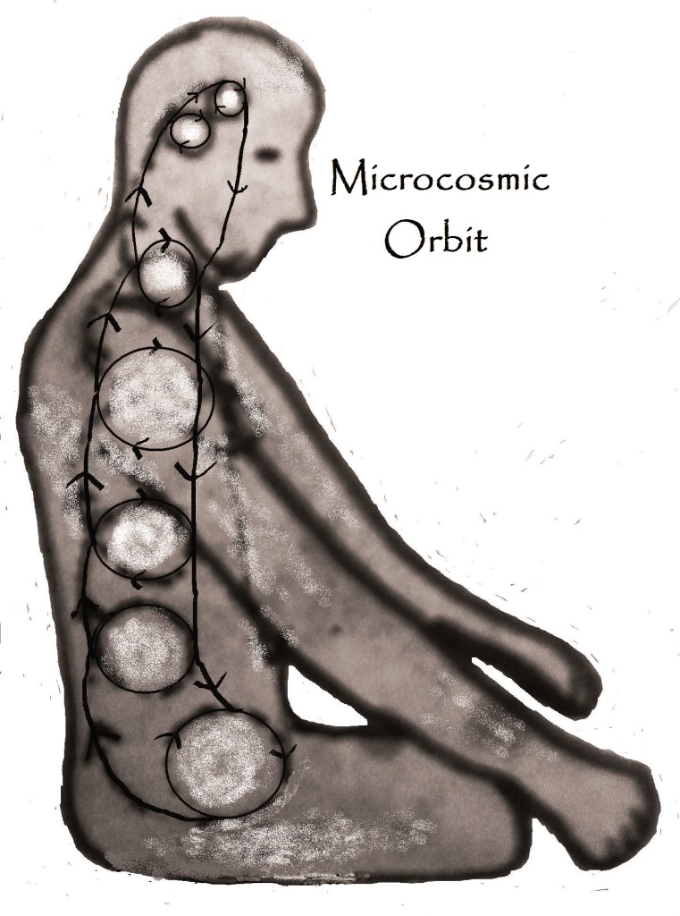 Microcosmic Orbit